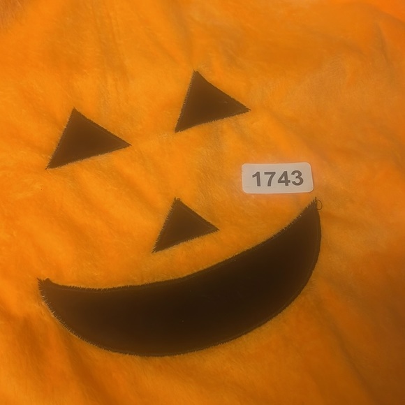 NWOT dog costume - Picture 6 of 6